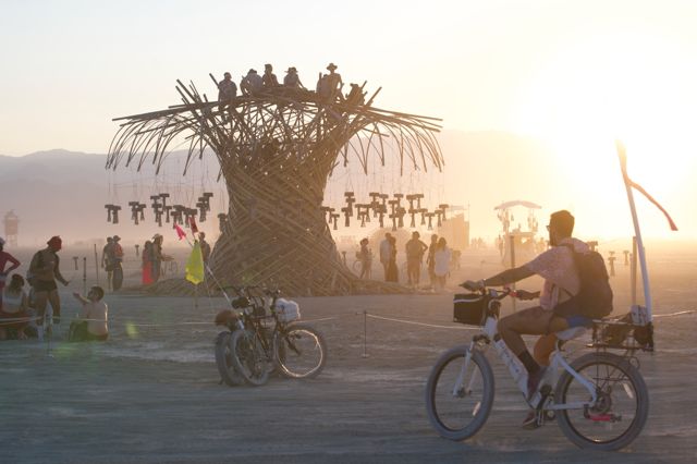 Riding past the tree at sunset, the top full of visitors.