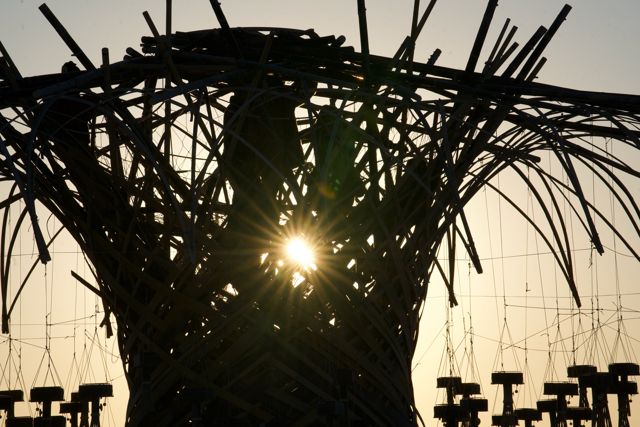 Sunstar through the crown.