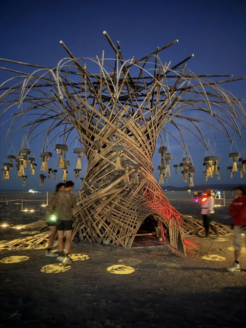 First evening open: the Tree lit, the leaves projected on the playa, the first visitors at its roots.