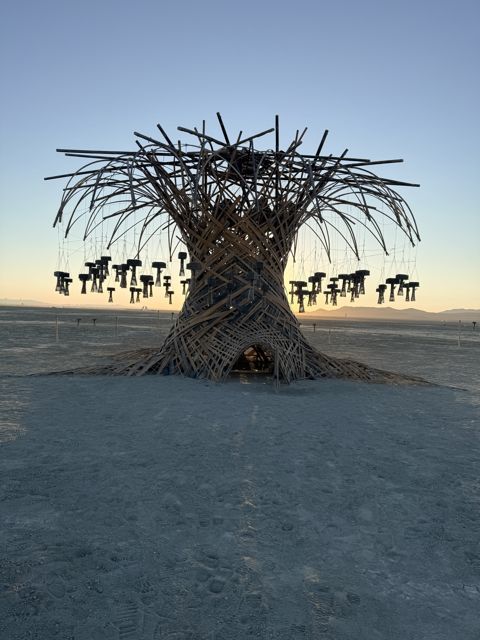 Dawn portrait of the tree, entrance open.
